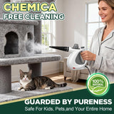 Handheld Steam Cleaner