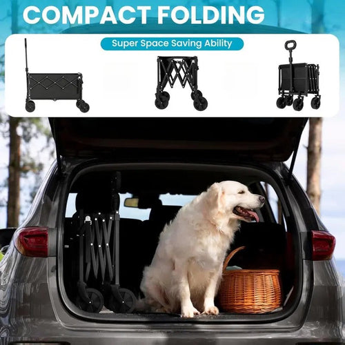 Folding Wagon