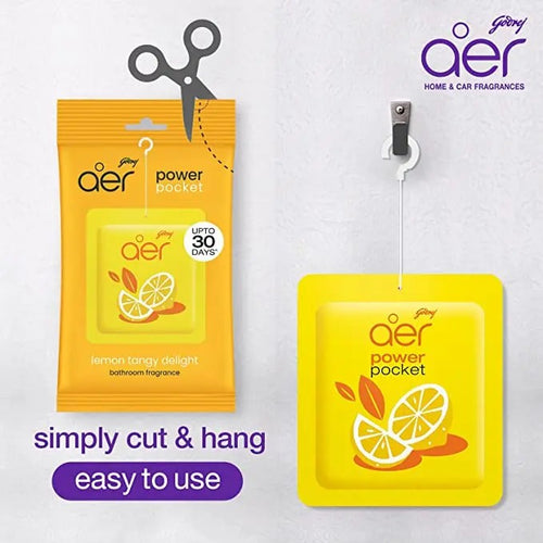 Godrej Aer Power Pocket Air Freshener
