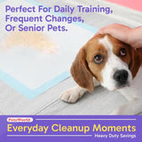 Puppy Training Pads for Indoor Accidents