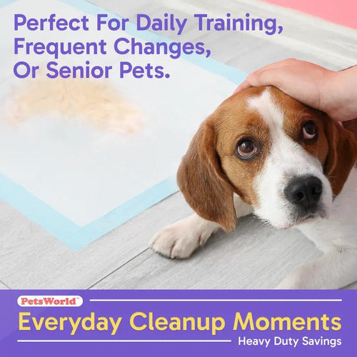 Puppy Training Pads for Indoor Accidents